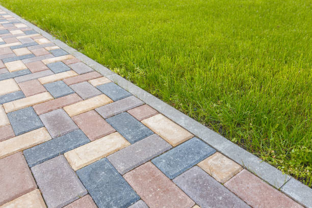 Best Interlocking Driveway Pavers  in Alamo Heights, TX